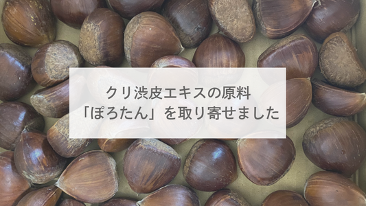 クリ渋皮エキスの原料、「ぽろたん」を取り寄せました